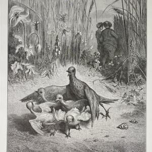 Dore, Fables, Lark and Babies, Woodman and Mercury, Bookplate, ~ 240706-WH 290